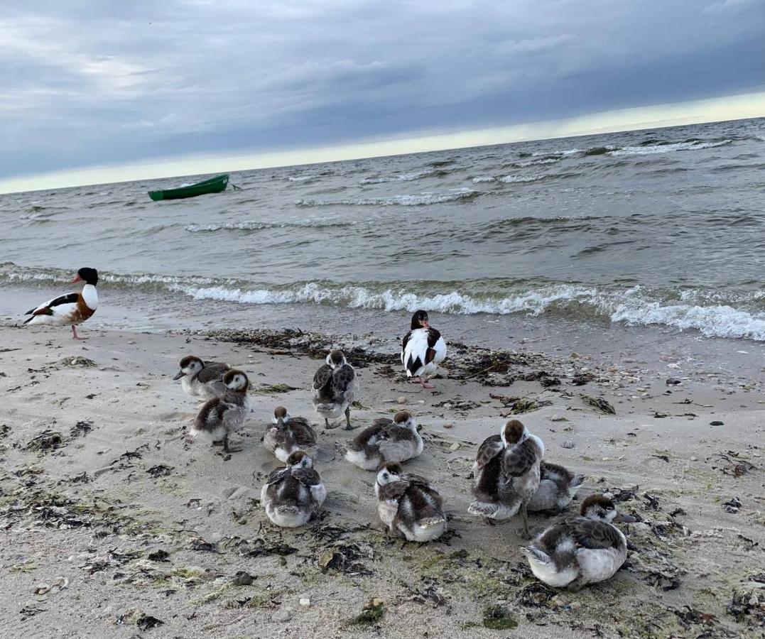 Piejuras Maja Skandinavu Stila! Seaside Scandi House! Villa Lapmežciems Dış mekan fotoğraf